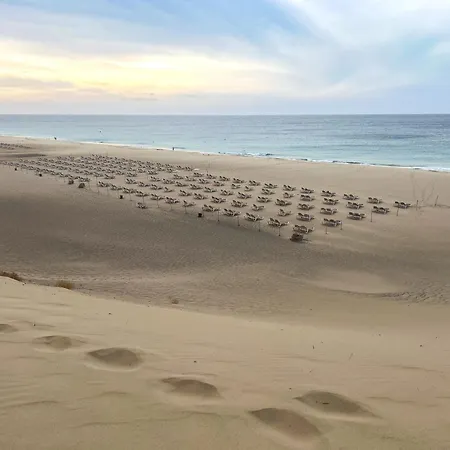Blue Wave